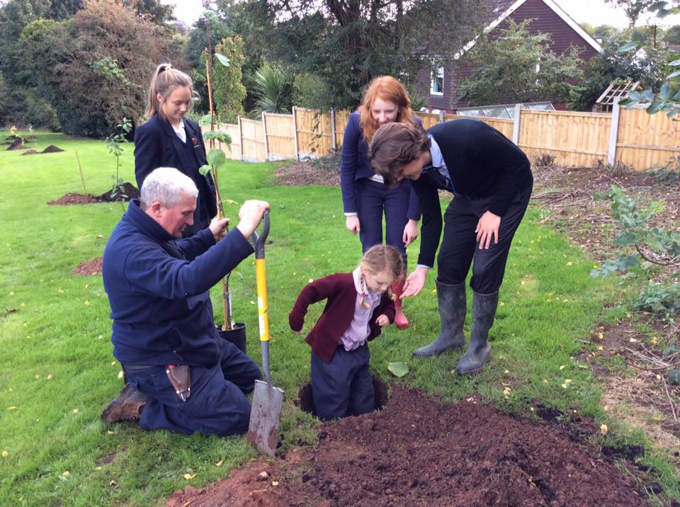 School Monitors help Prep and Pre-Prep pupils plant trees in the new Orchard at Bromsgrove Prep, 17th October 2016